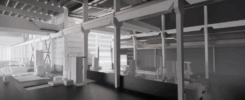 bim scan